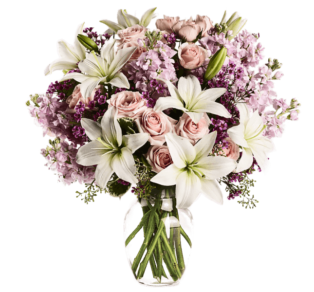 Sistema De Bruin - Dashboard de Vendas